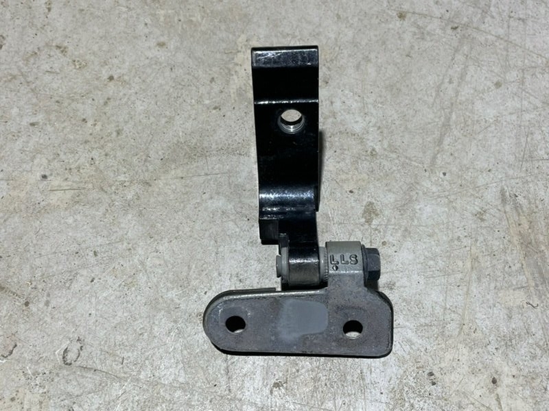 Петля двери задней левой нижняя