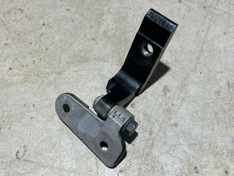 Петля двери задней левой нижняя