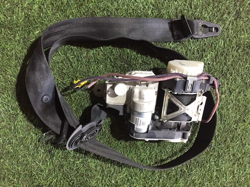 Ремень безопасности