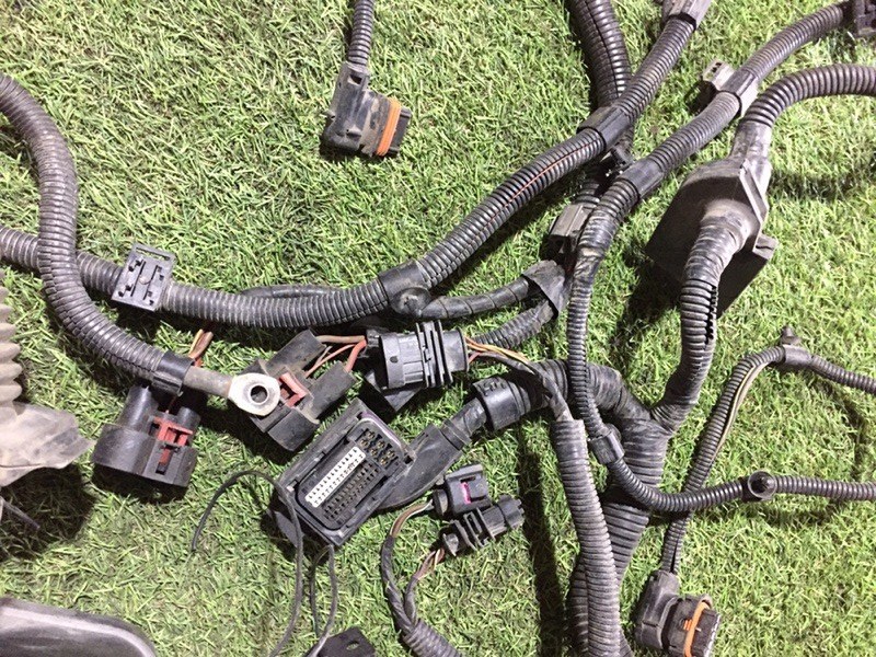 Проводка (коса)