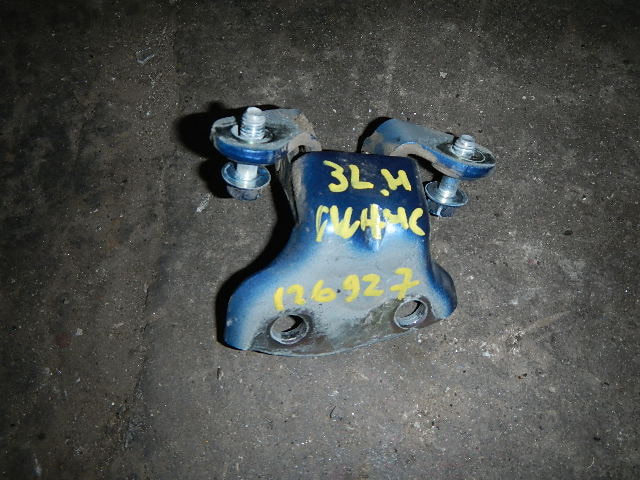 Петля двери задней левой нижняя