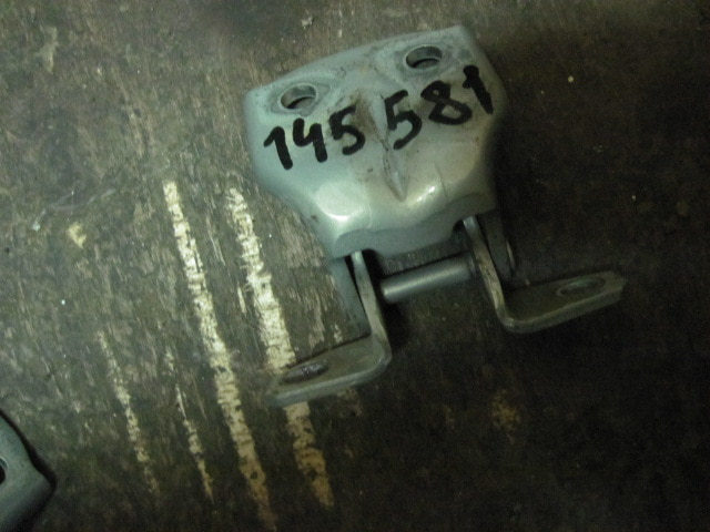 Петля двери задней правой нижняя