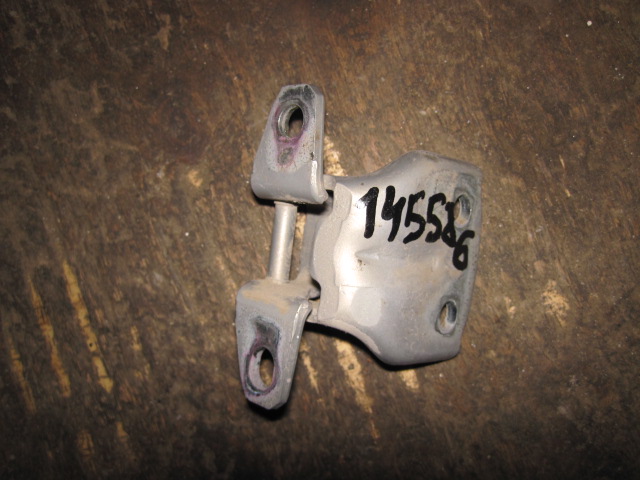 Петля двери задней левой нижняя