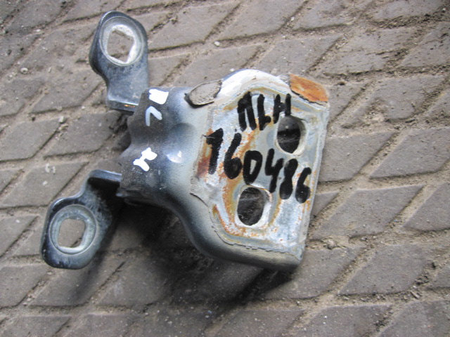 Петля двери передней левой нижняя