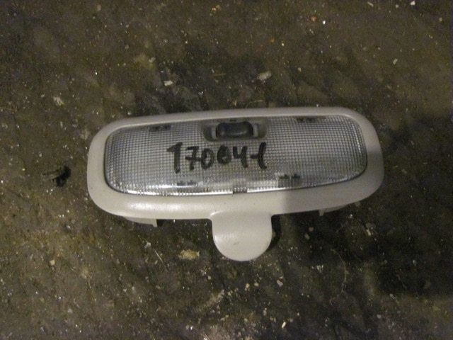 Плафон салонный