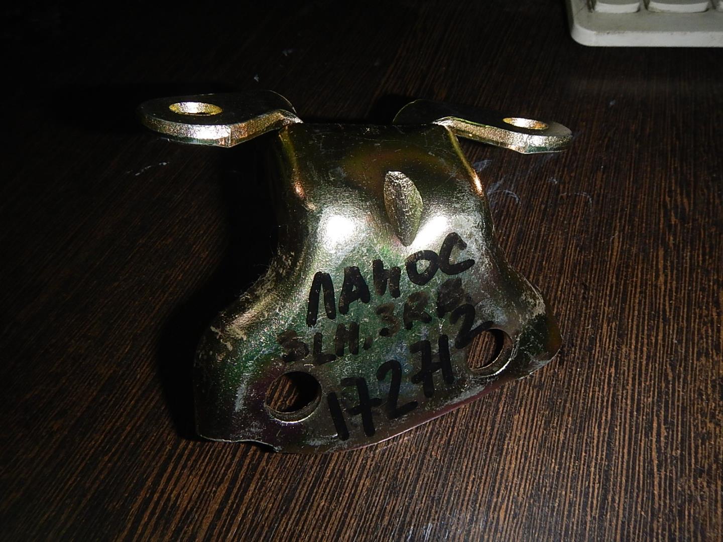 Петля двери задней левой нижняя