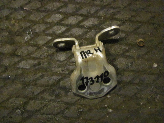 Петля двери передней правой нижняя