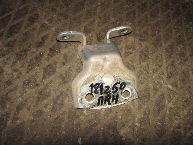 Петля двери передней правой нижняя