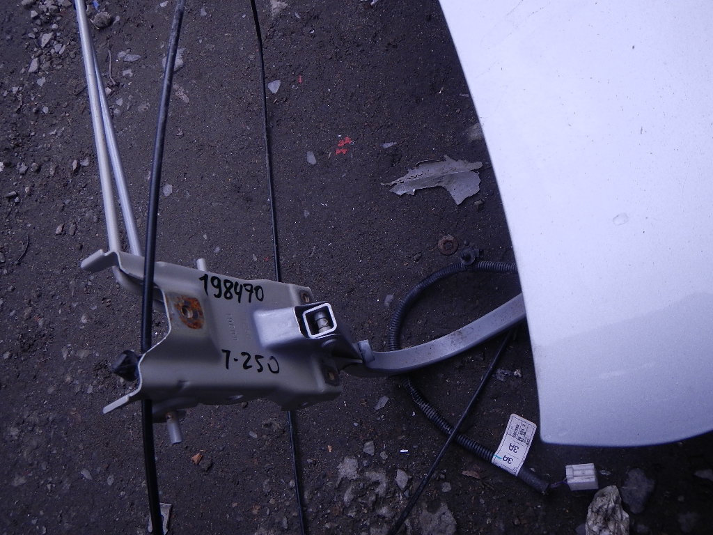 Петля крышки багажника