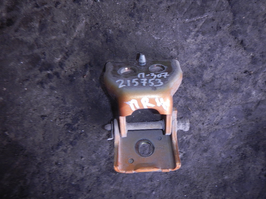 Петля двери передней правой нижняя