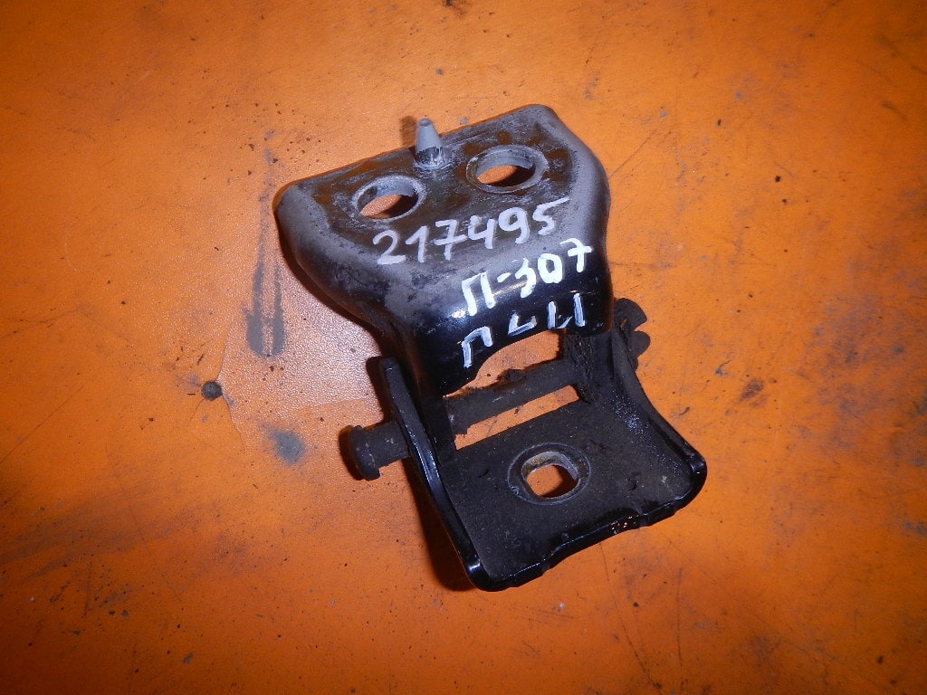 Петля двери передней левой нижняя