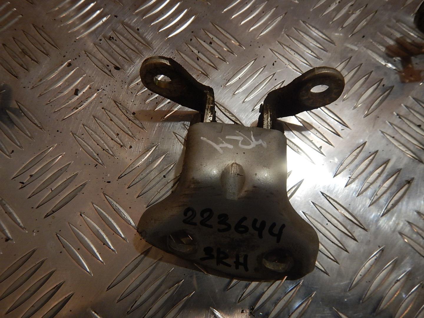 Петля двери задней правой нижняя