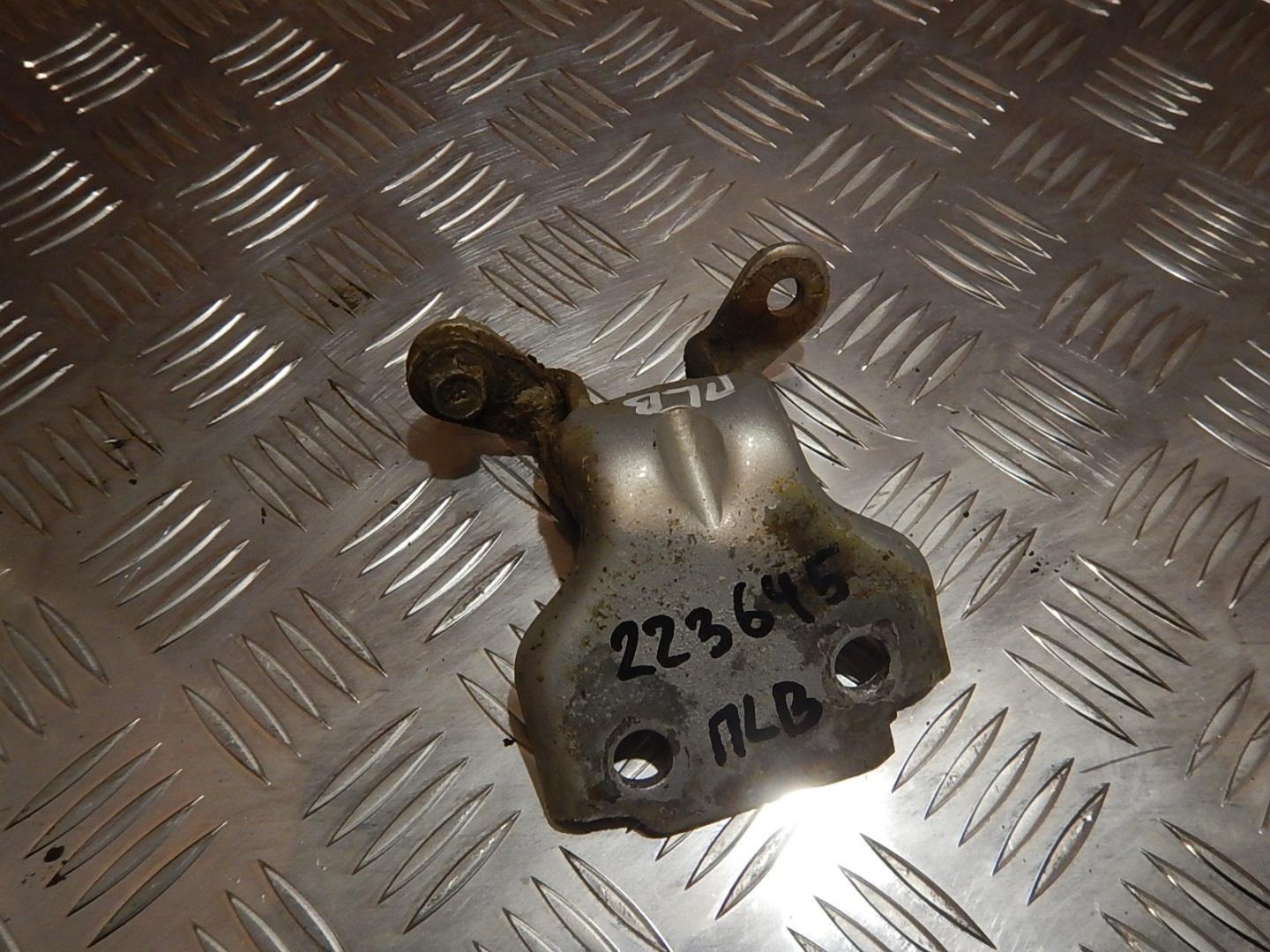 Петля двери передней левой верхняя