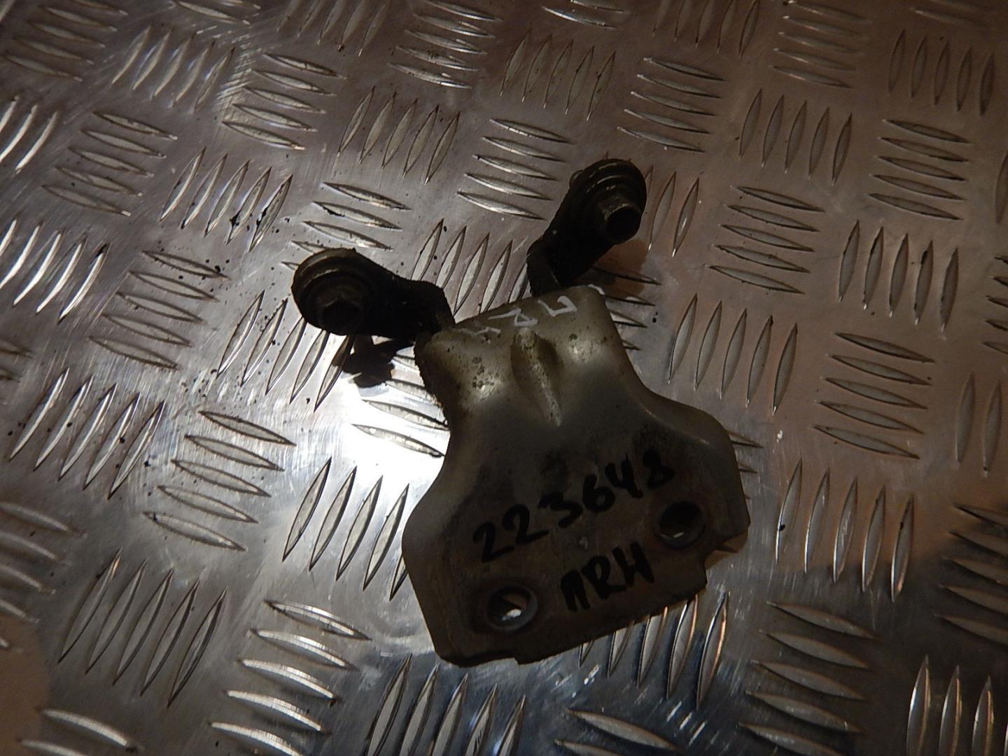 Петля двери передней правой нижняя