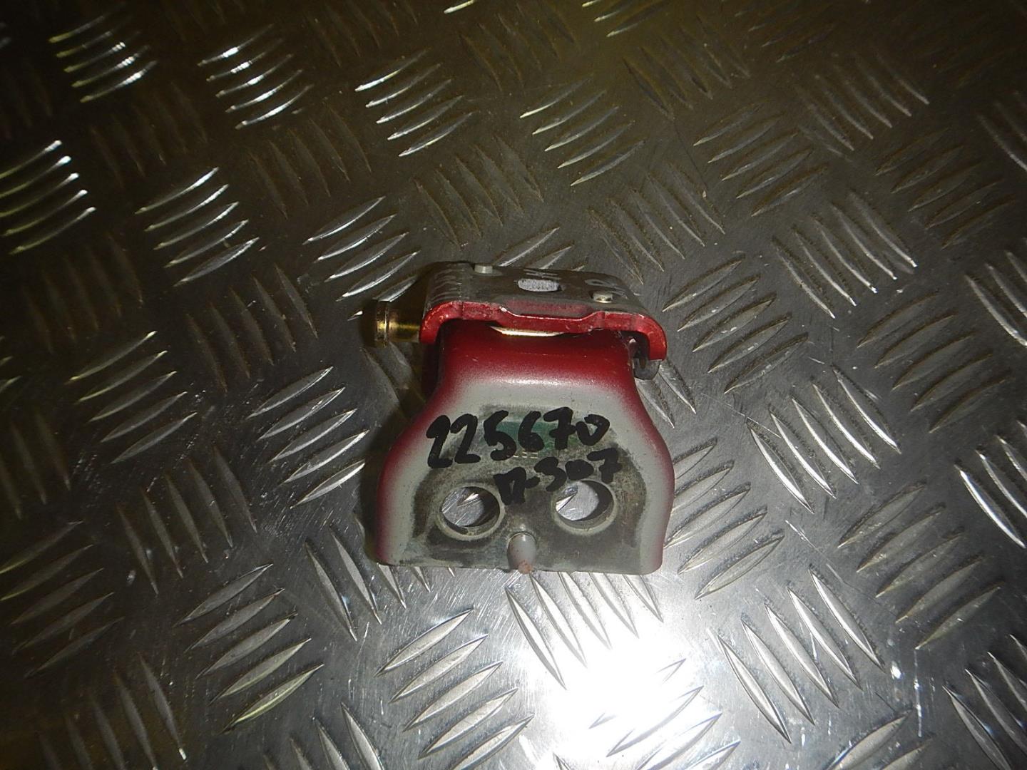 Петля двери задней правой нижняя