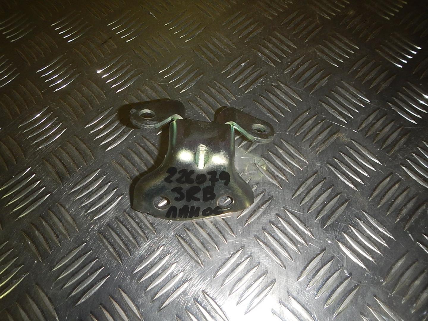 Петля двери задней правой верхняя