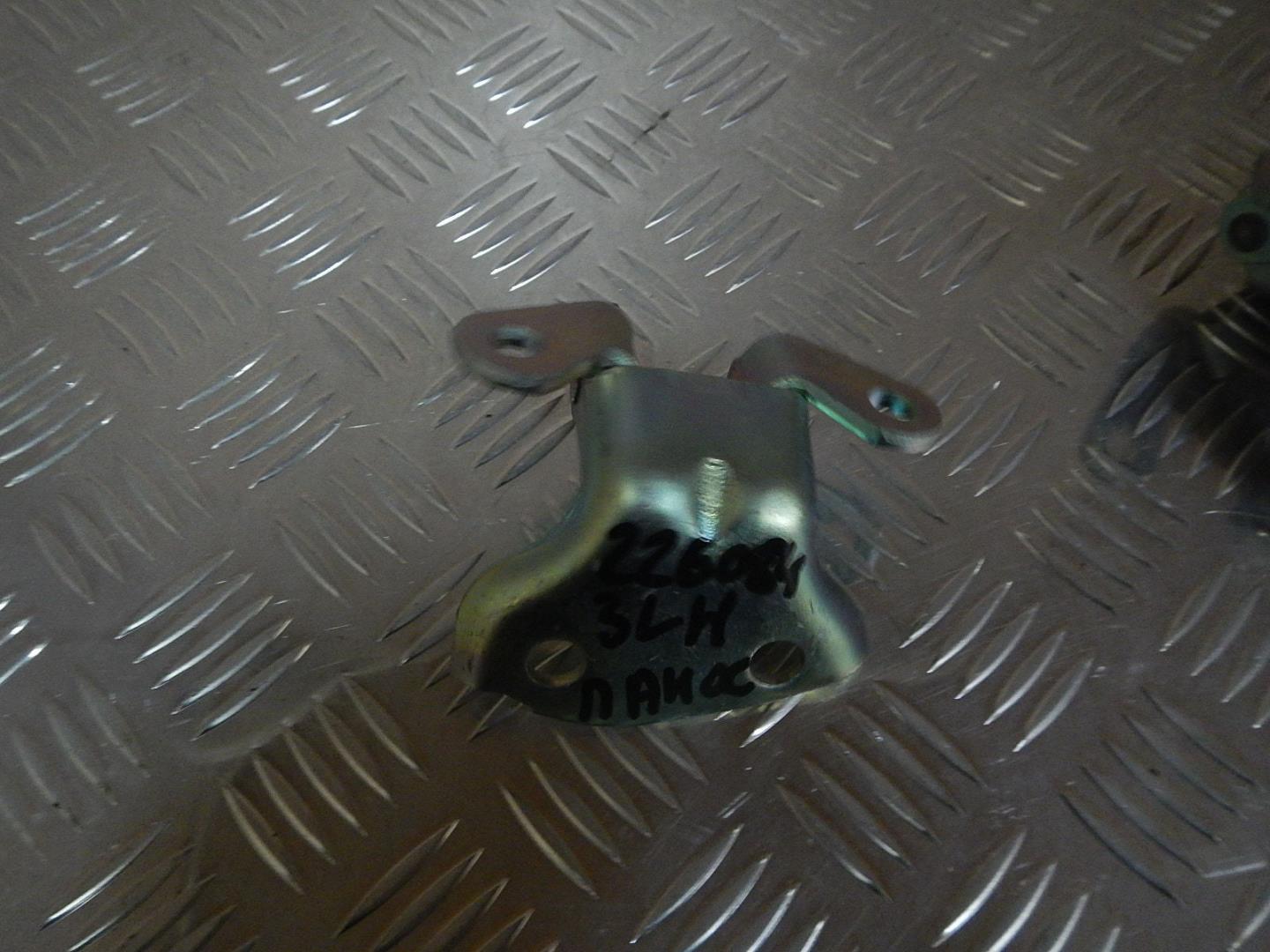 Петля двери задней левой нижняя