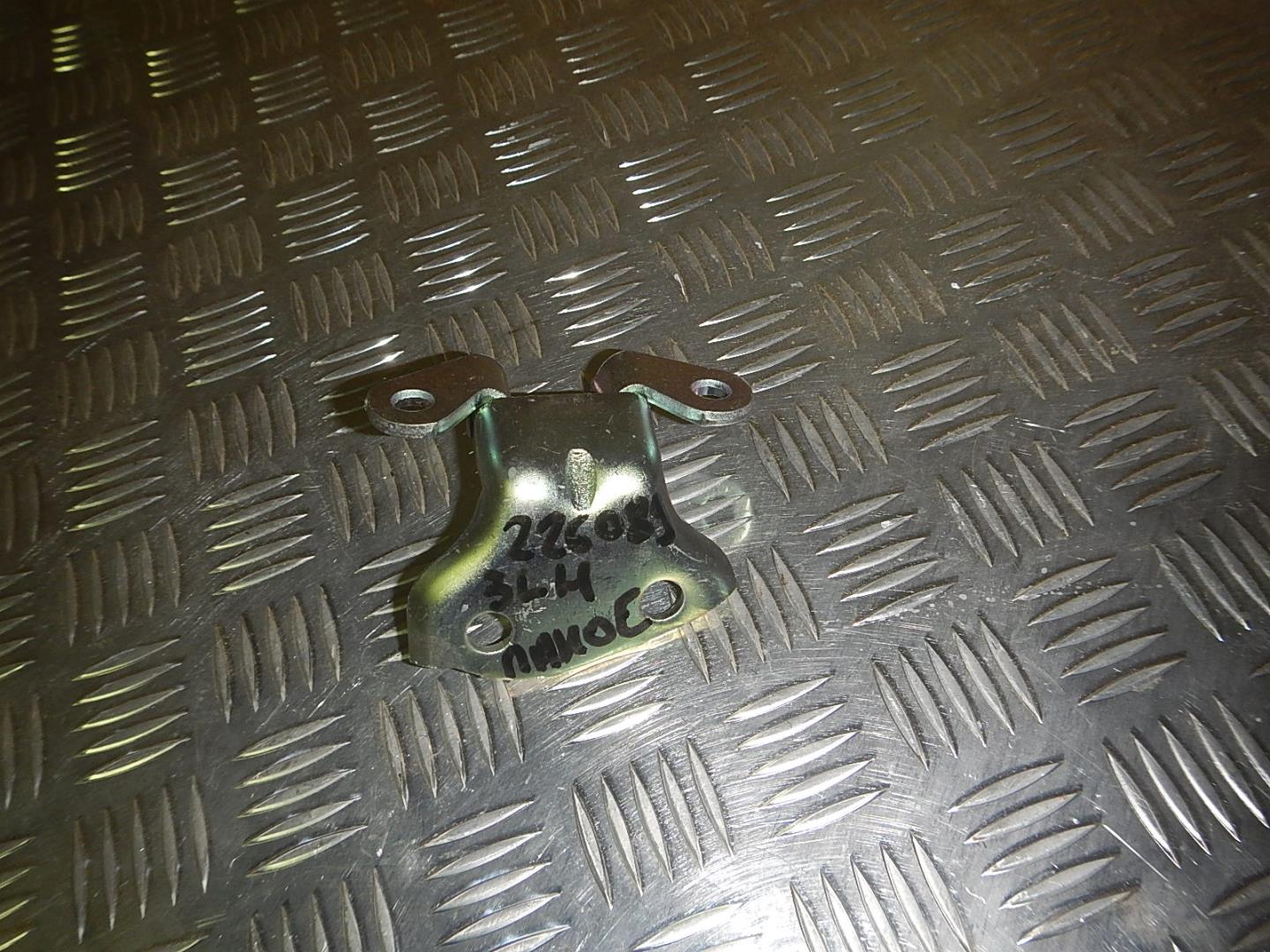 Петля двери задней левой нижняя