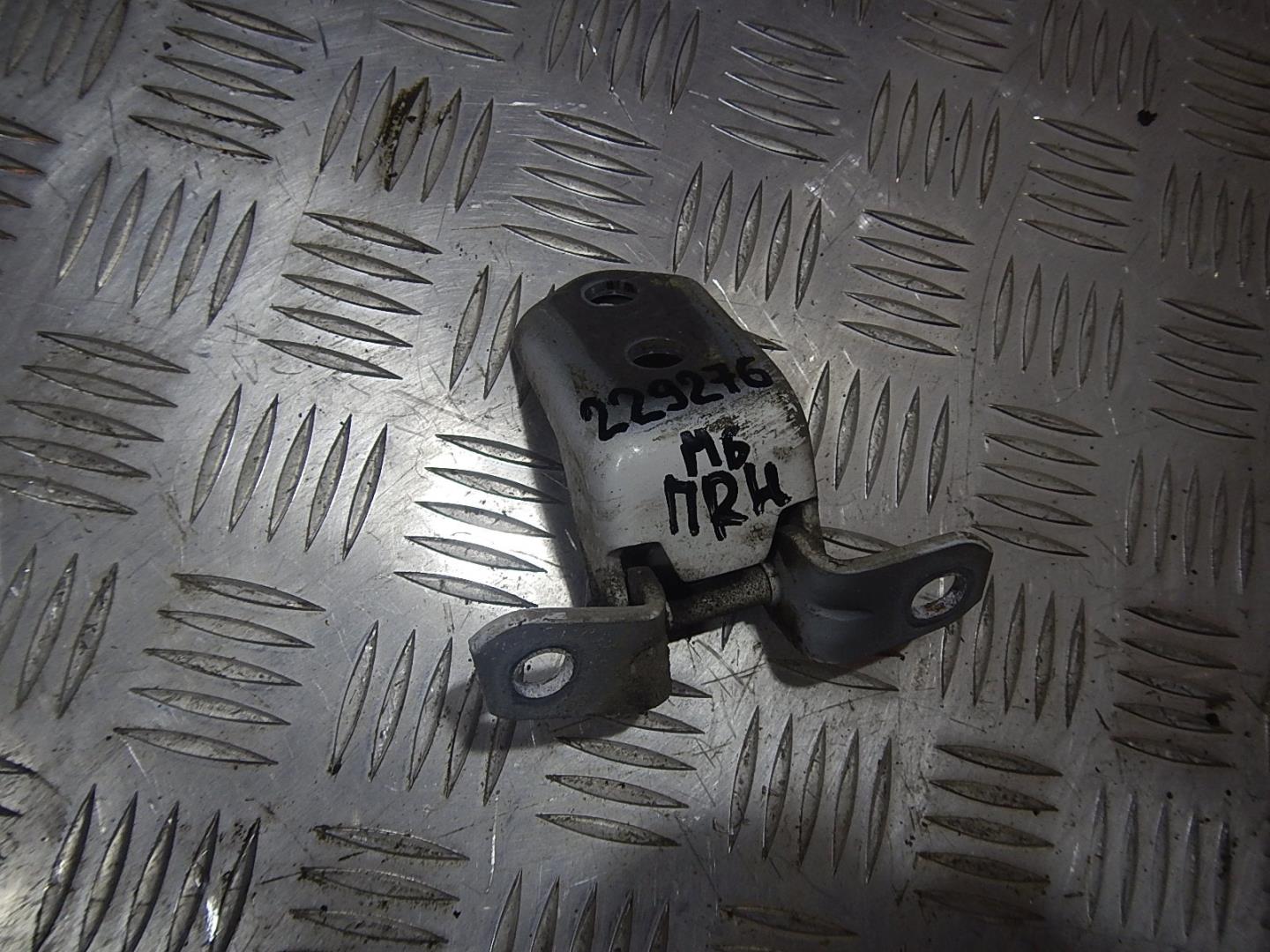 Петля двери передней правой нижняя