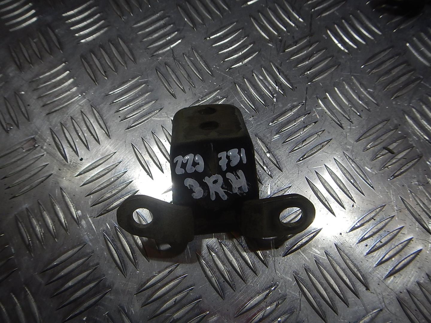 Петля двери задней правой нижняя