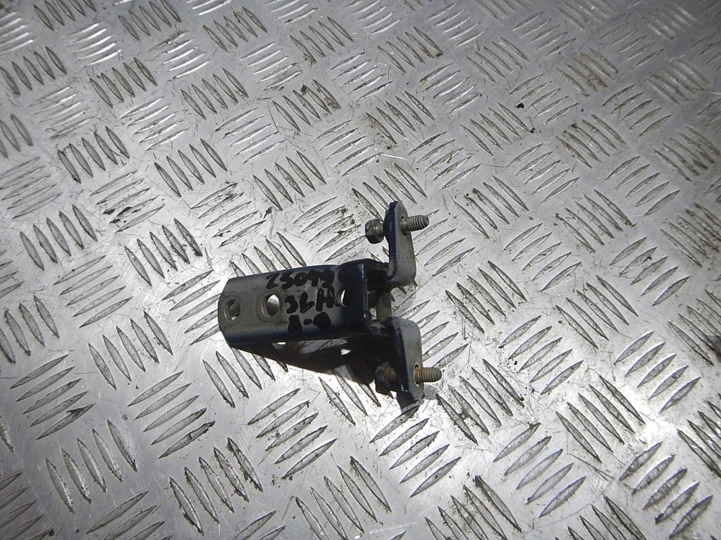 Петля двери задней левой нижняя