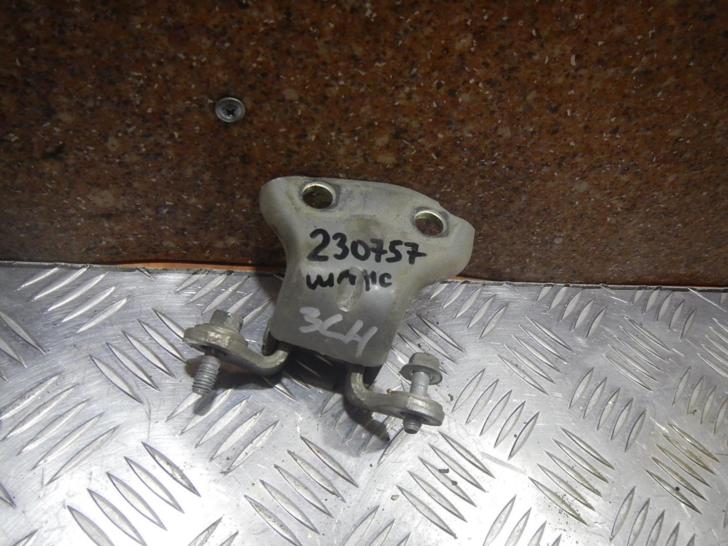 Петля двери задней левой нижняя