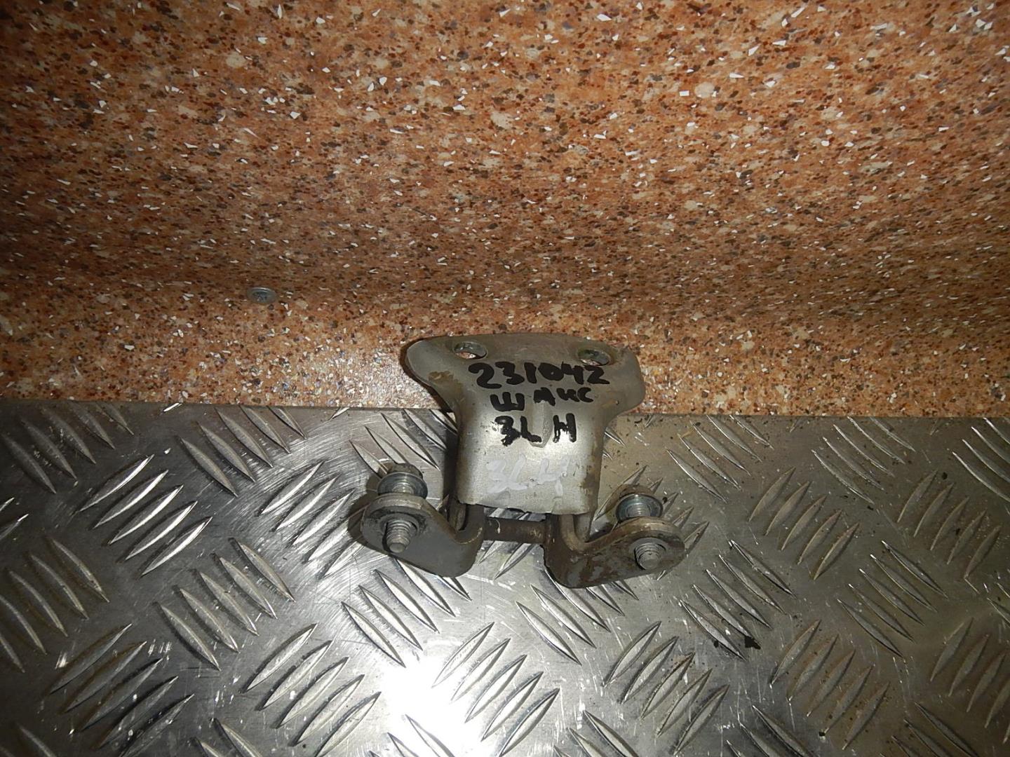 Петля двери задней левой нижняя