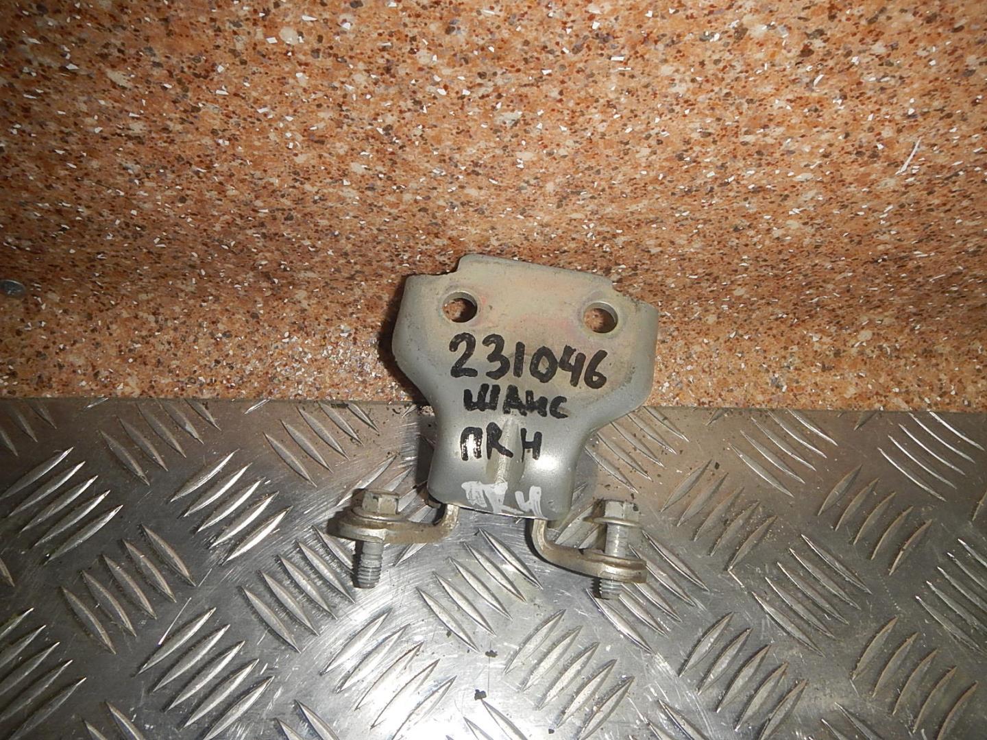 Петля двери передней правой нижняя