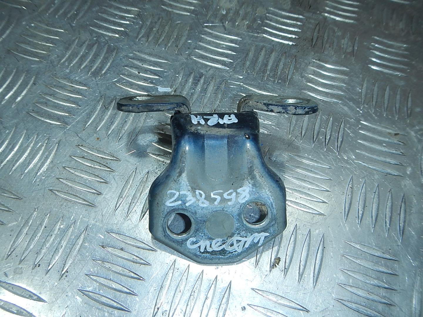 Петля двери передней правой нижняя