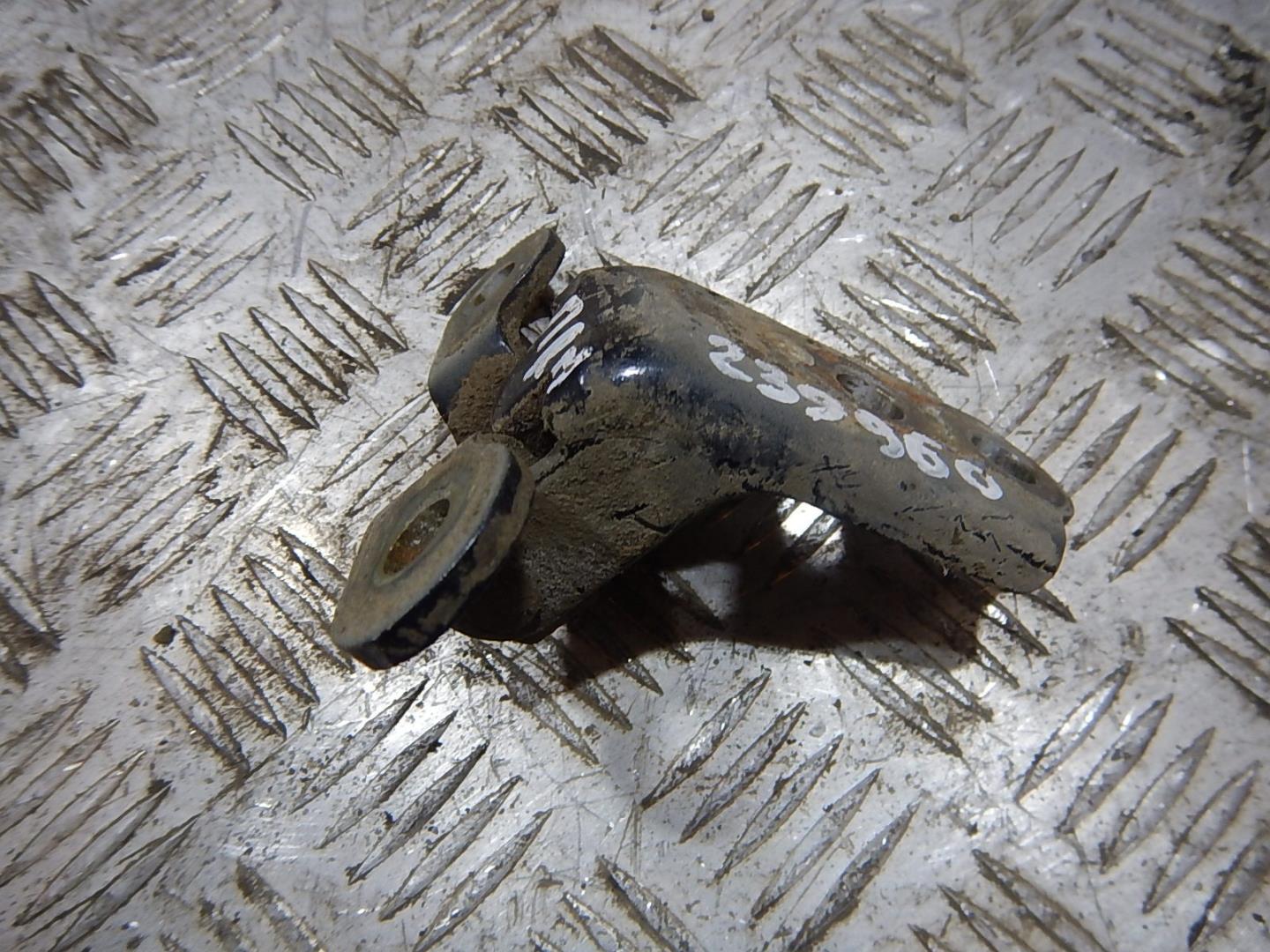 Петля двери передней правой нижняя