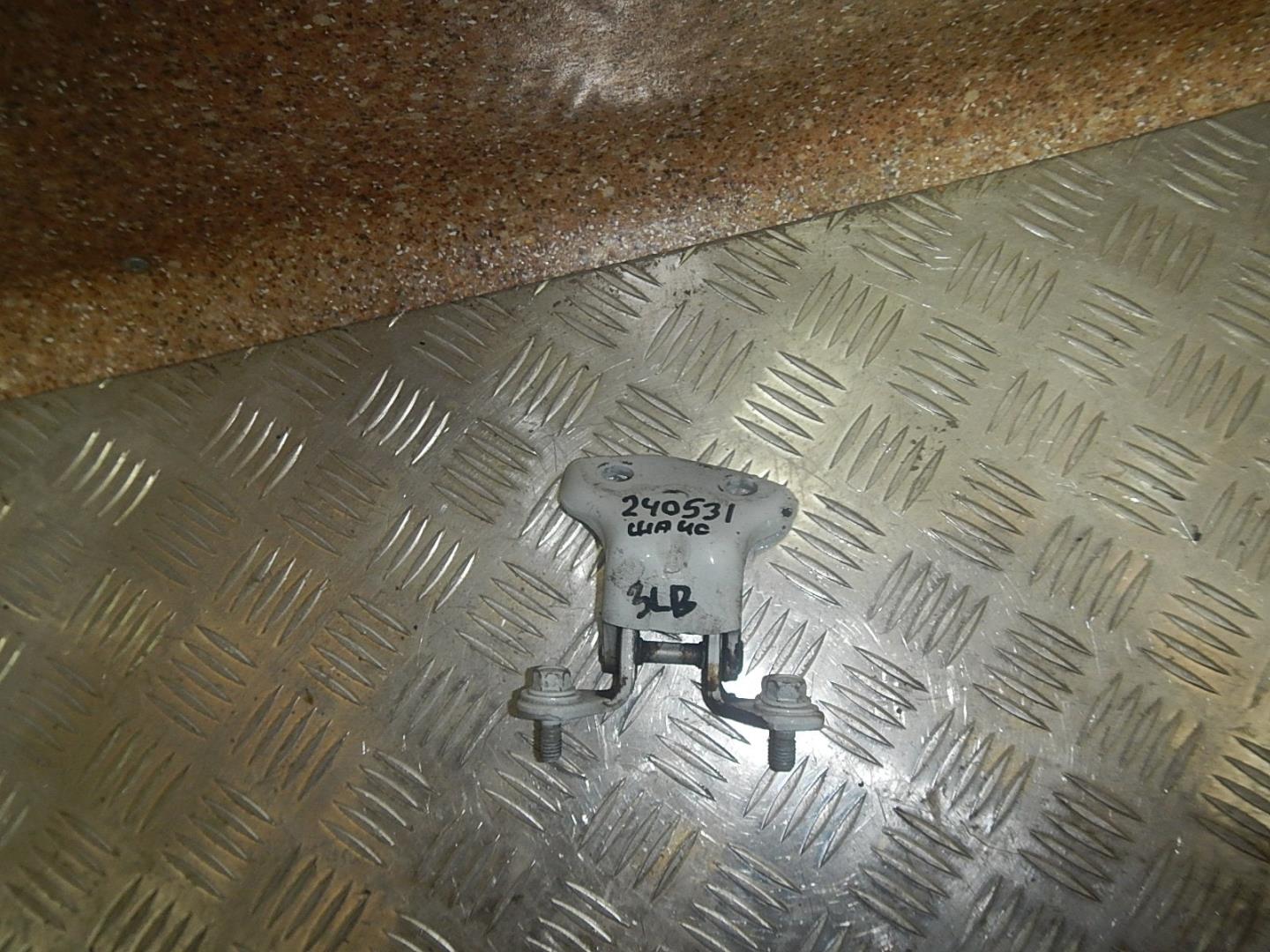 Петля двери задней левой верхняя