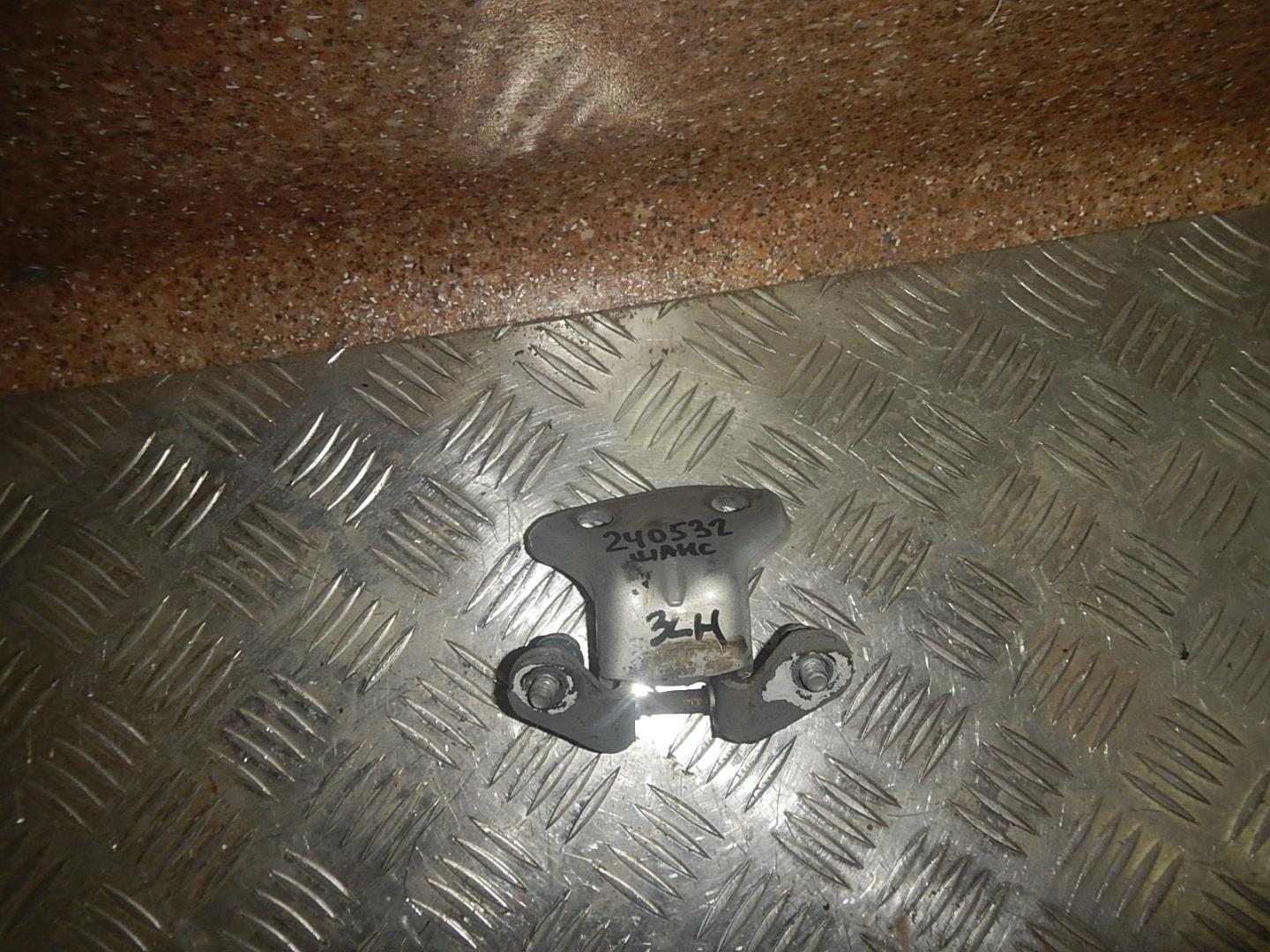 Петля двери задней левой нижняя