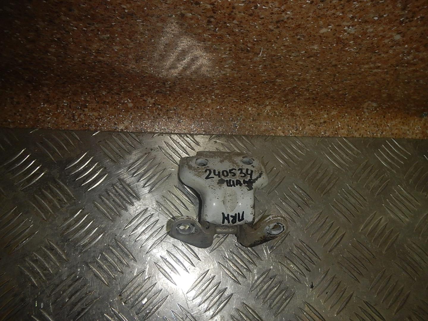 Петля двери передней правой нижняя