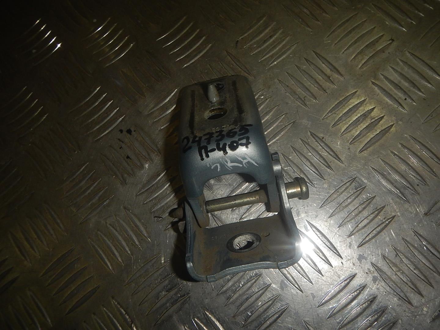 Петля двери задней правой нижняя