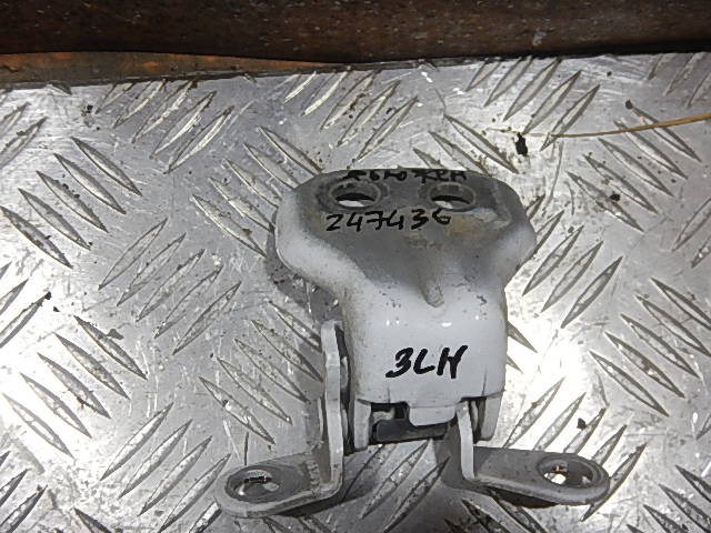 Петля двери задней левой нижняя