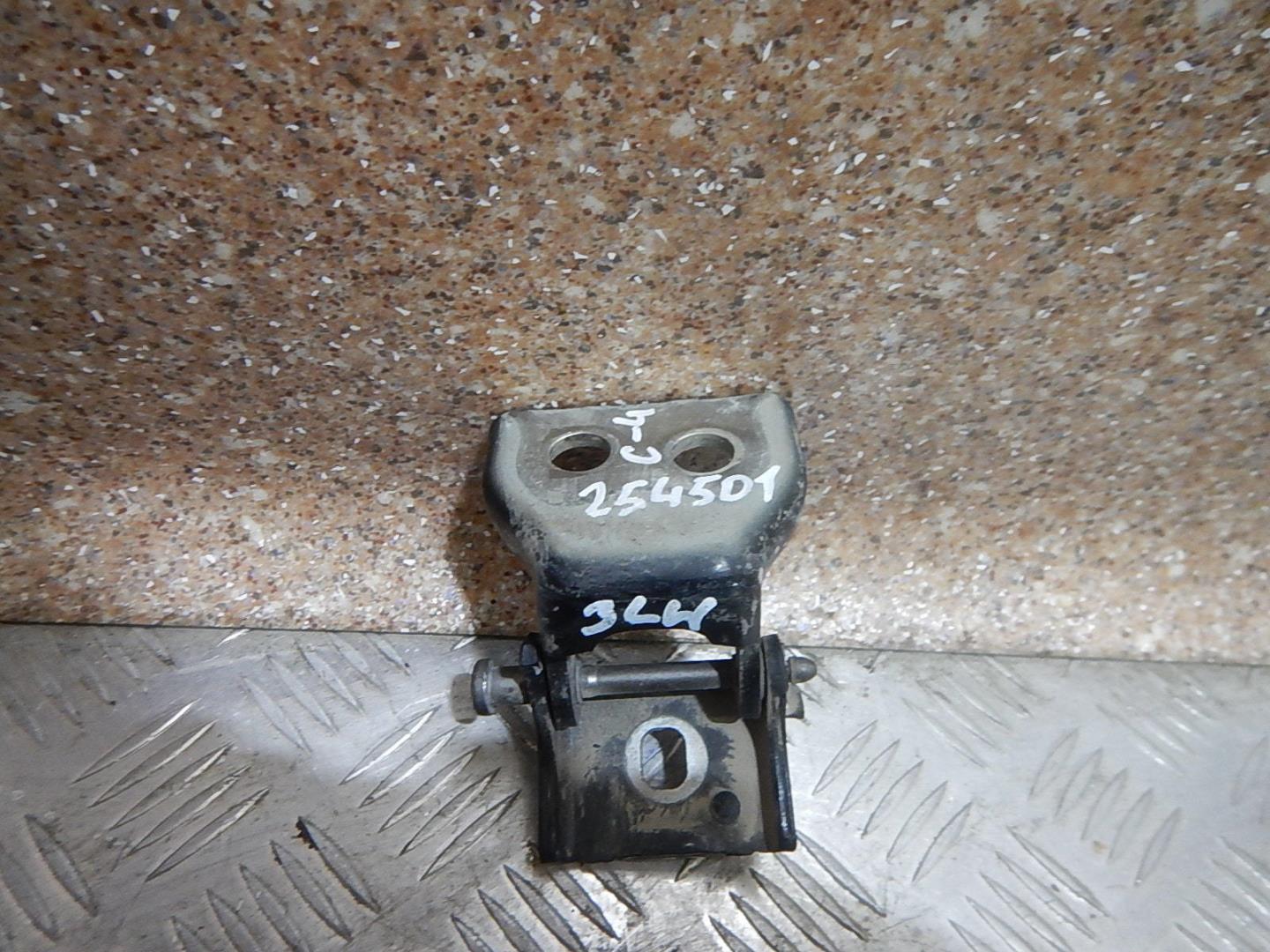 Петля двери задней левой нижняя