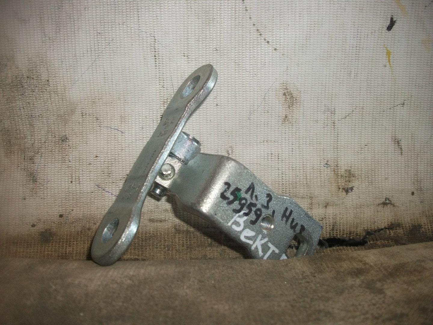 Петля двери задней левой нижняя