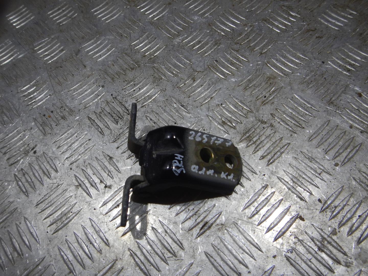 Петля двери задней правой нижняя