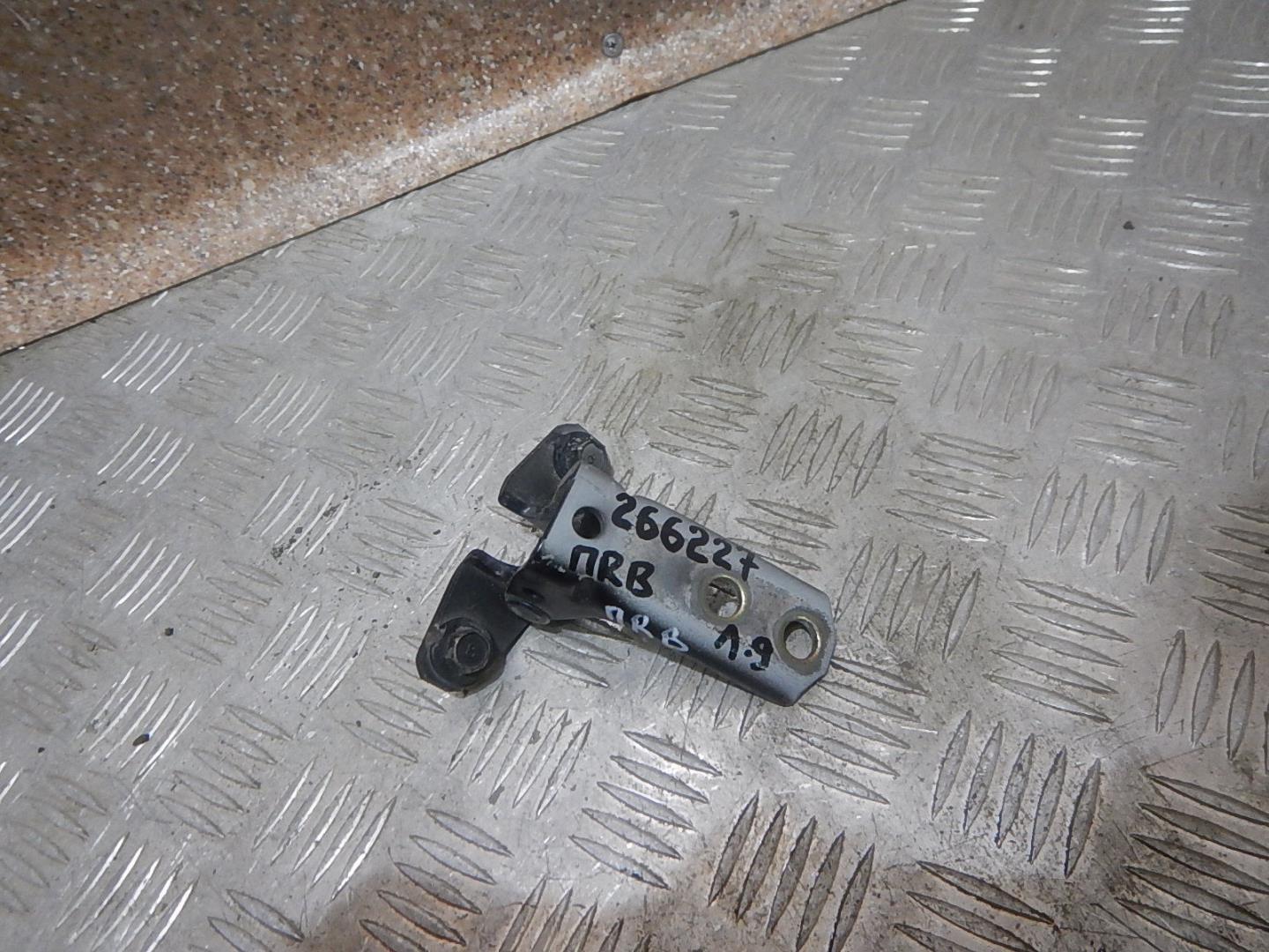 Петля двери передней правой верхняя