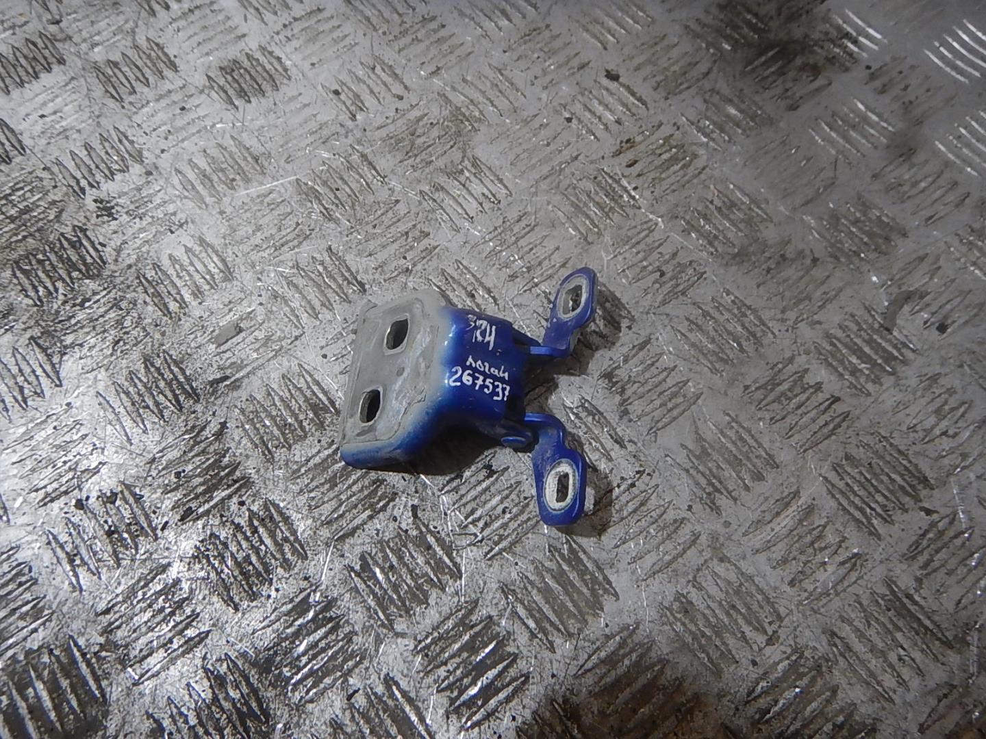 Петля двери задней правой нижняя