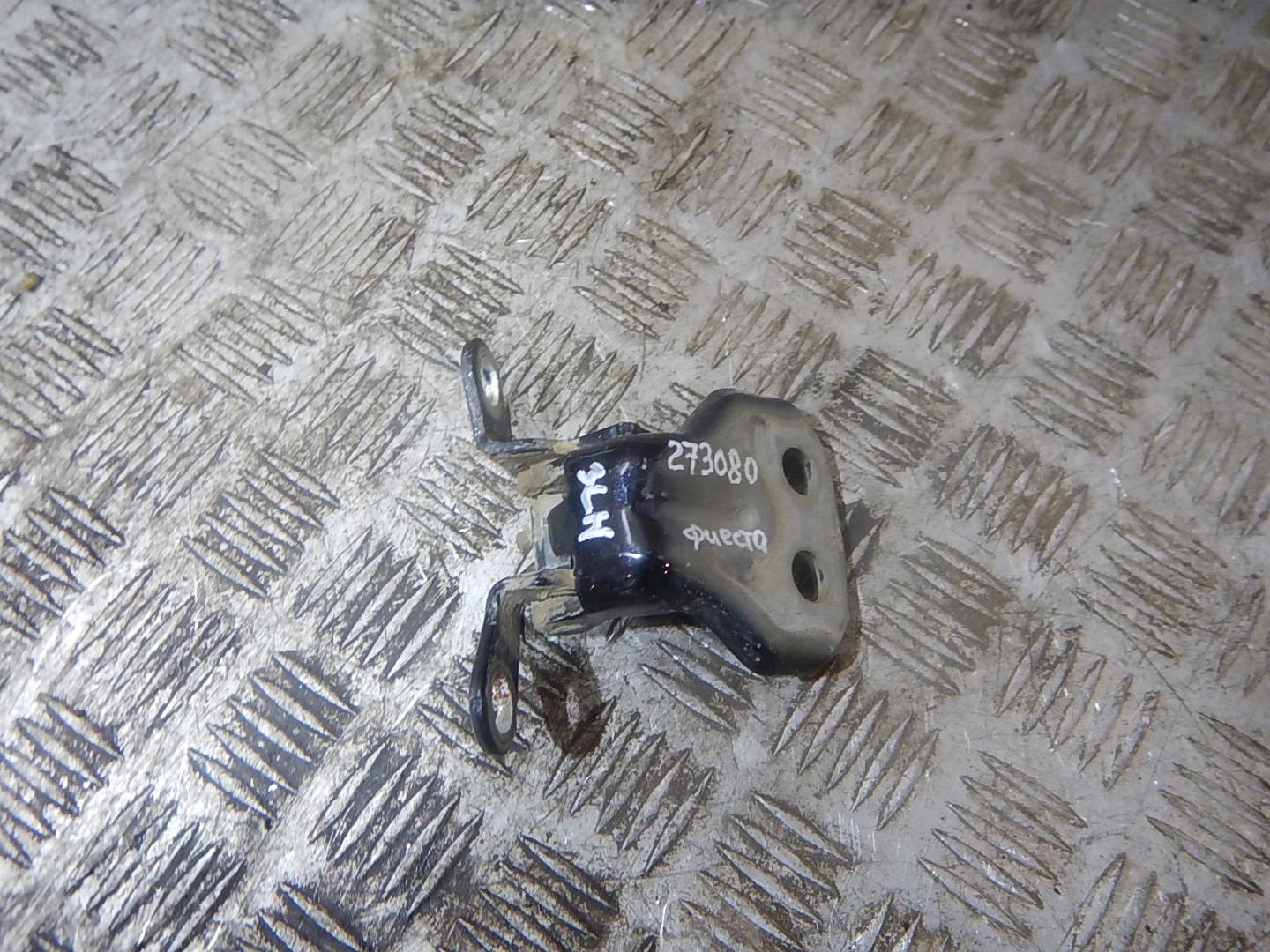 Петля двери задней левой нижняя