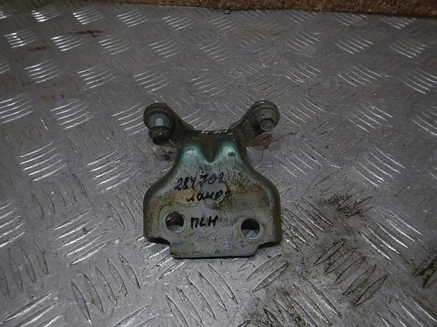 Петля двери передней левой нижняя