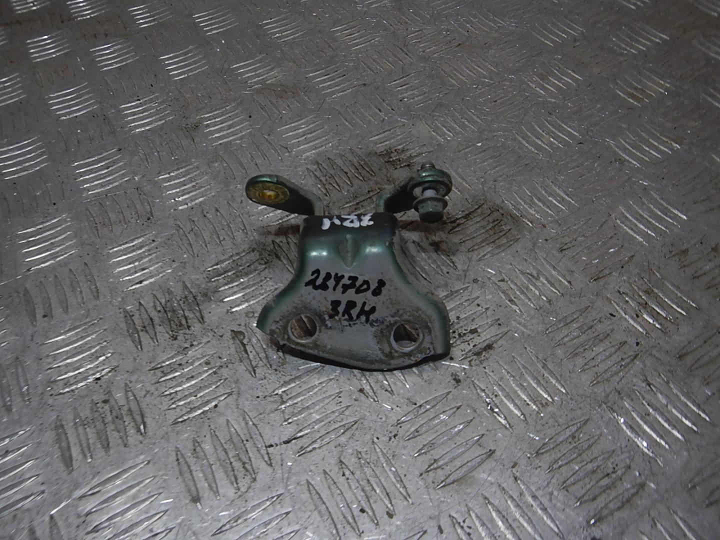 Петля двери задней правой нижняя