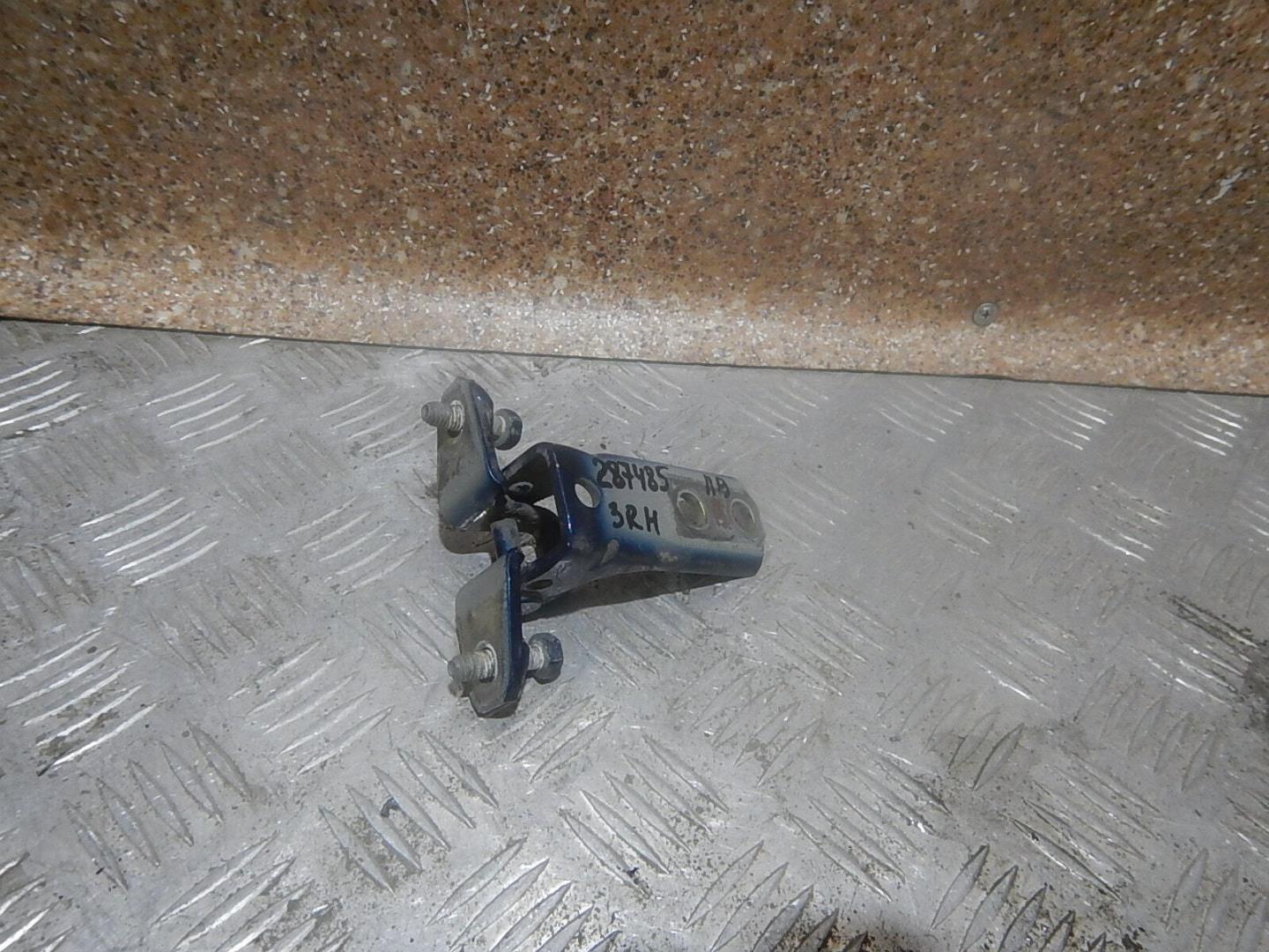 Петля двери задней правой нижняя