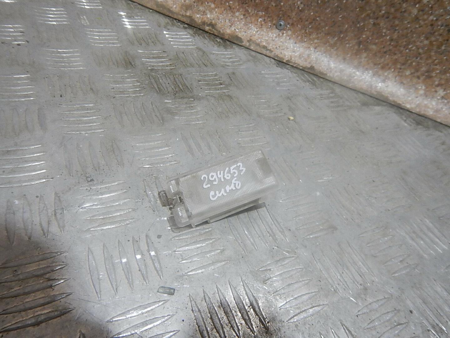 Плафон салонный