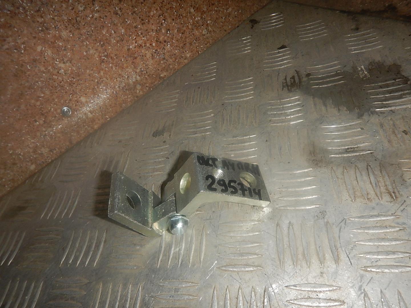 Петля двери задней правой нижняя