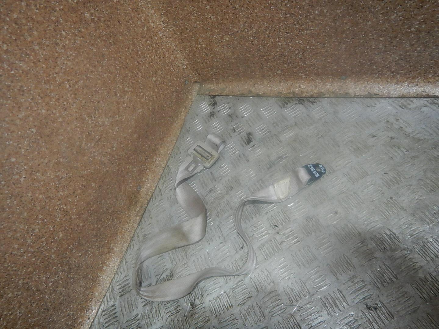 Ремень безопасности