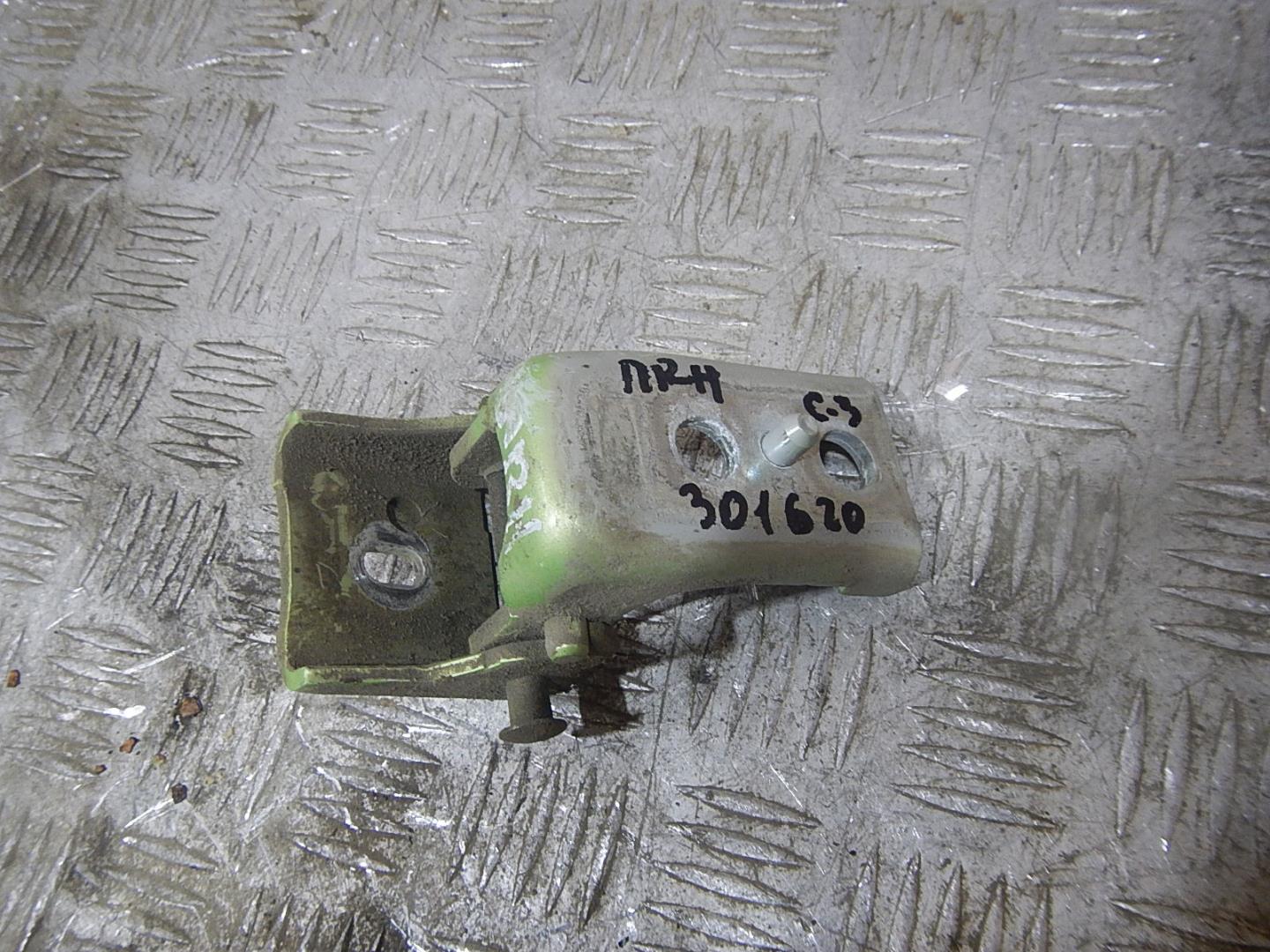 Петля двери передней правой нижняя