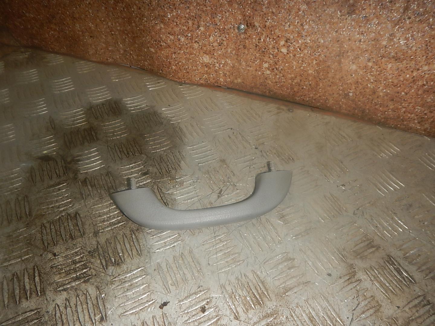 Ручка внутренняя потолочная