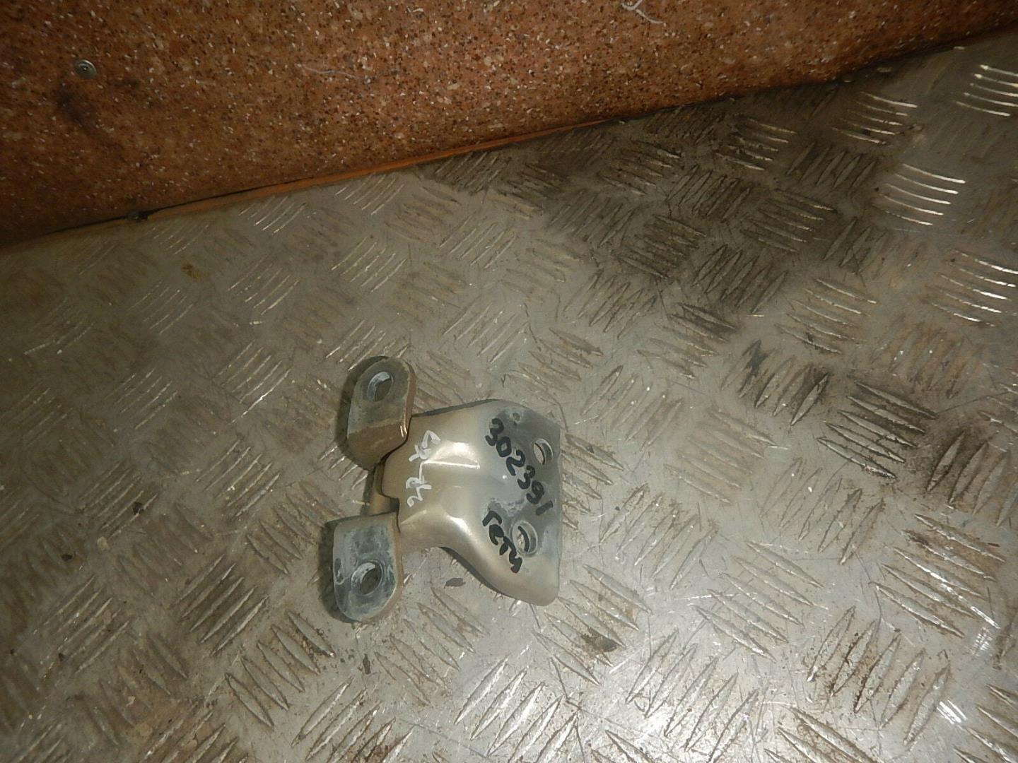 Петля двери задней правой верхняя